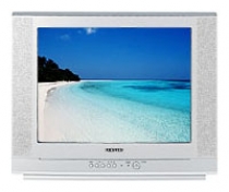 Телевизор Samsung CS-21H42 TSR - Ремонт блока формирования изображения