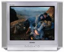 Ремонт телевизора Samsung CS-21K5 в Москве