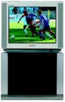 Телевизор Samsung CS-25A6 WTR - Доставка телевизора