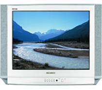 Телевизор Samsung CS-25D8 R - Замена инвертора