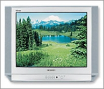Телевизор Samsung CS-25D8 WTR - Нет изображения
