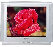 Телевизор Samsung CS-25V5 WTR - Замена антенного входа
