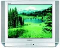 Телевизор Samsung CS-29D8 WTR - Ремонт системной платы