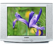 Телевизор Samsung CS-29U2 R - Ремонт ТВ-тюнера