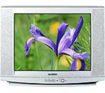 Телевизор Samsung CS-29U2 WTR - Замена динамиков
