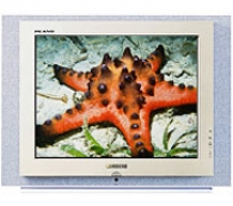 Ремонт телевизора Samsung CS-29Z4HNQ в Москве