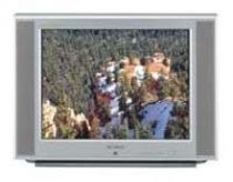Телевизор Samsung CS-29 A6 HPBQ PLANO - Ремонт ТВ-тюнера