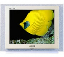 Телевизор Samsung CS-34Z4HNQ - Ремонт блока формирования изображения